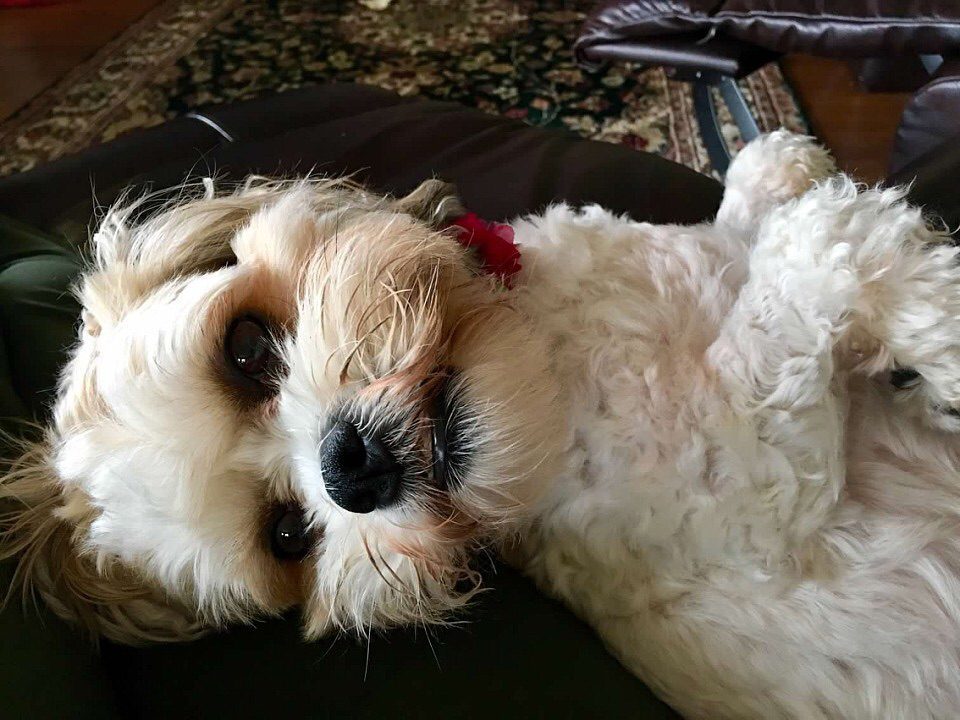 AF0ABD13-053E-4AFD-9E42-FFBF47D56AD9