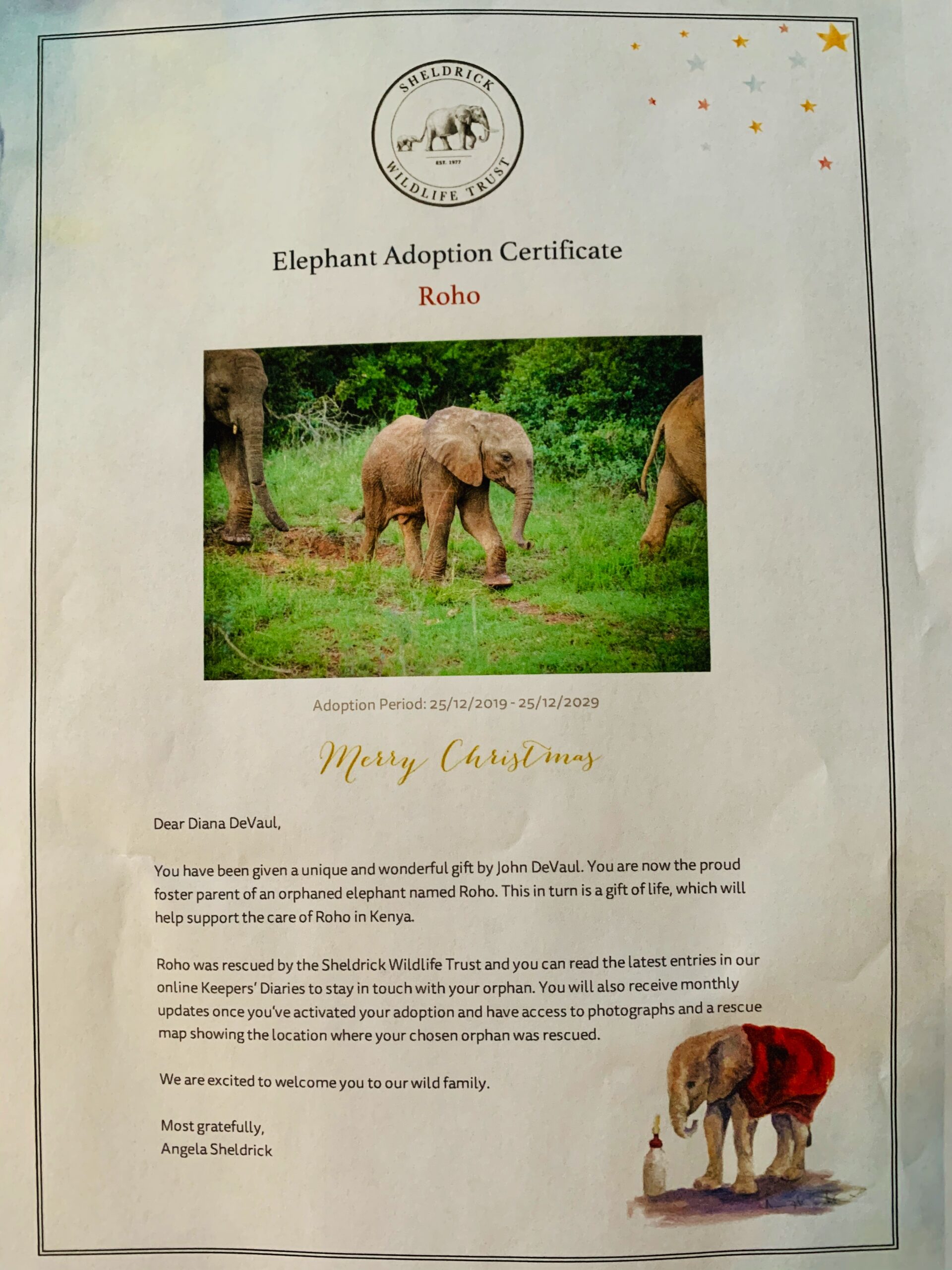 Image 12-18-19 at 12.31 PM