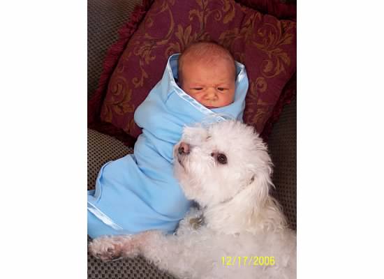 T.Puzzle gets a little love