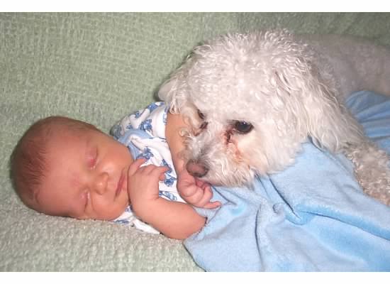 Newborn Full Speed is carefully watched over