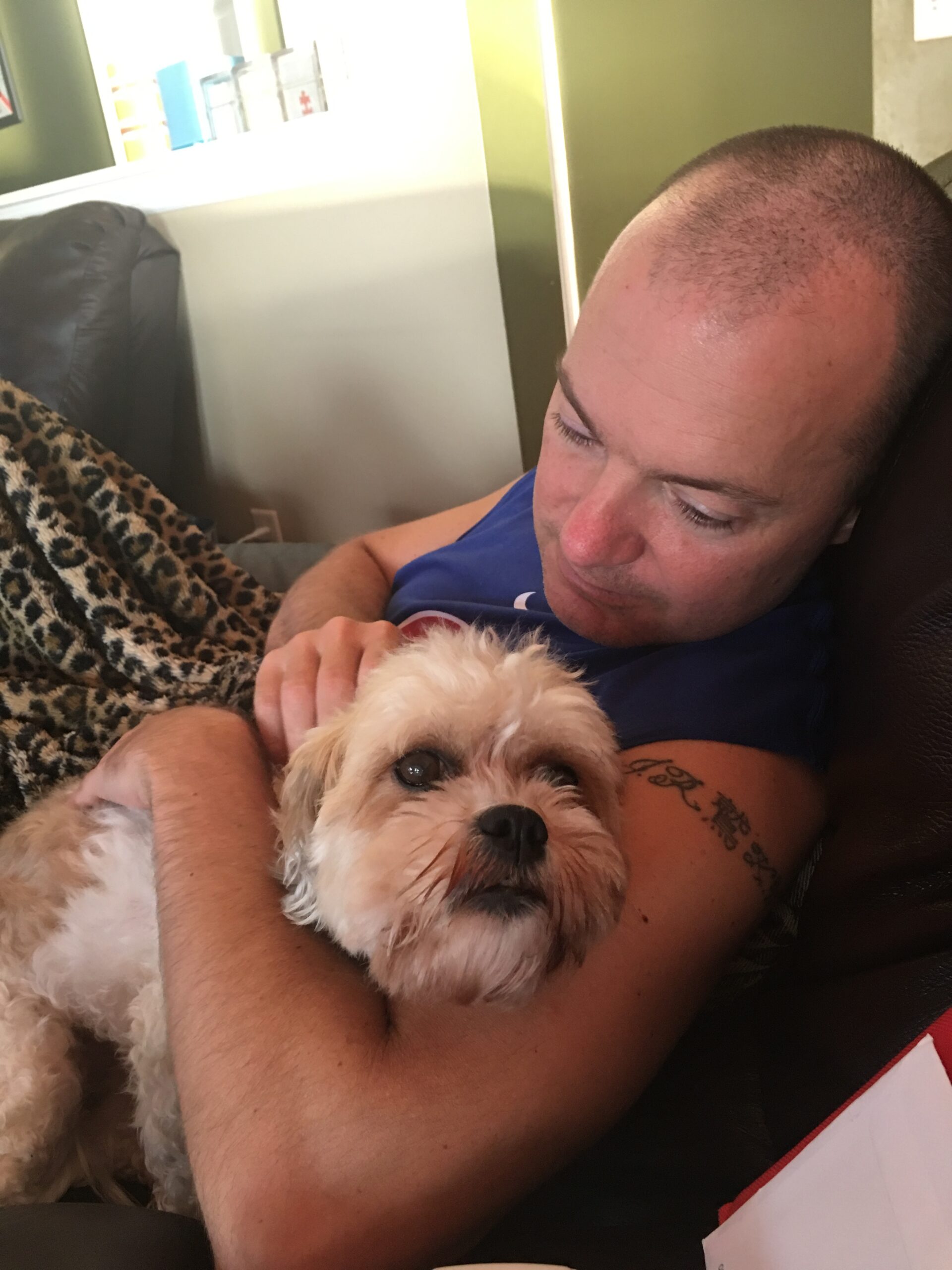 6FB3AF8B-2B79-496D-939C-D0073FDBFF5E