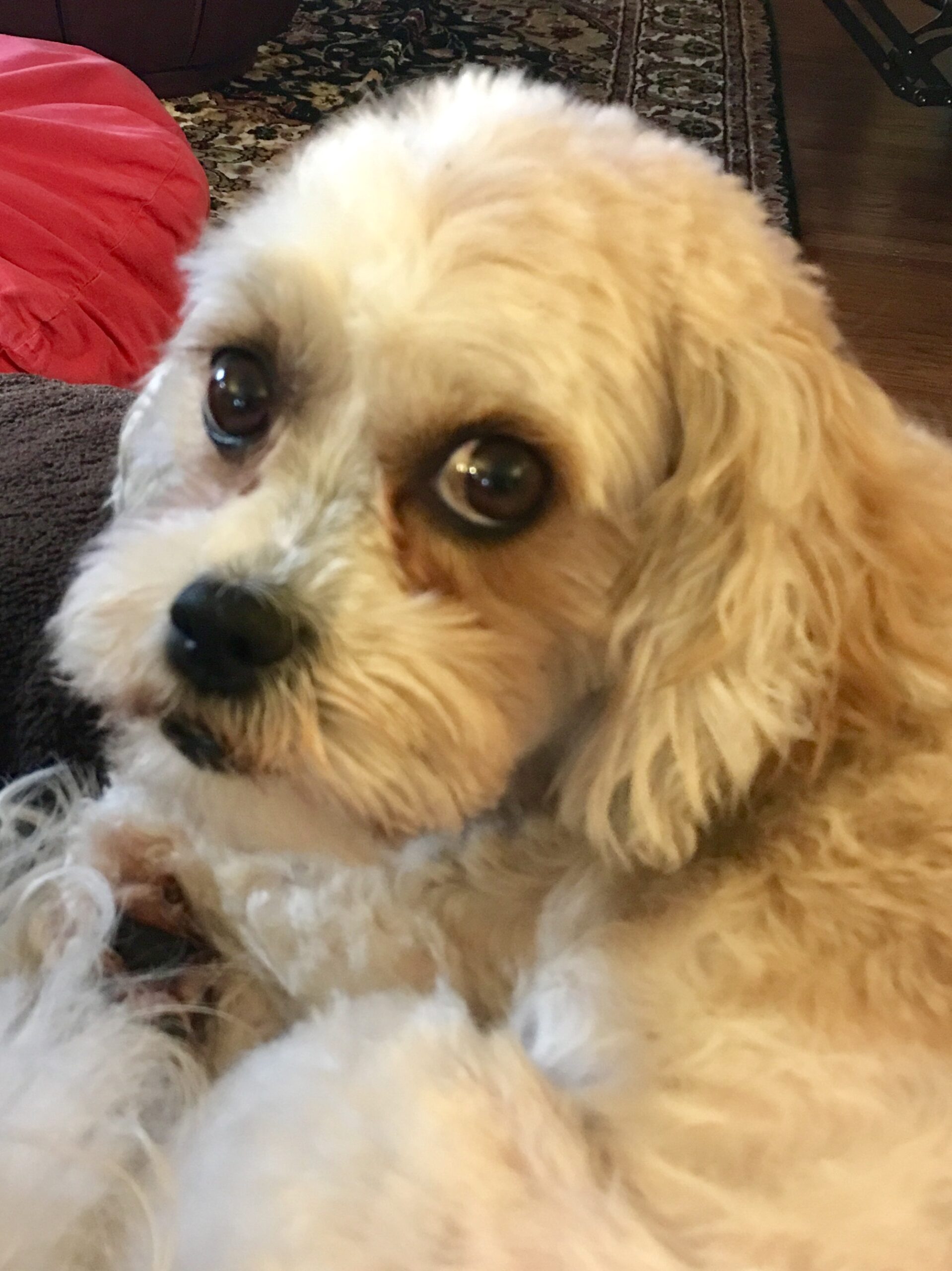 F8933B45-0008-4159-ADDD-3AE544A167AB