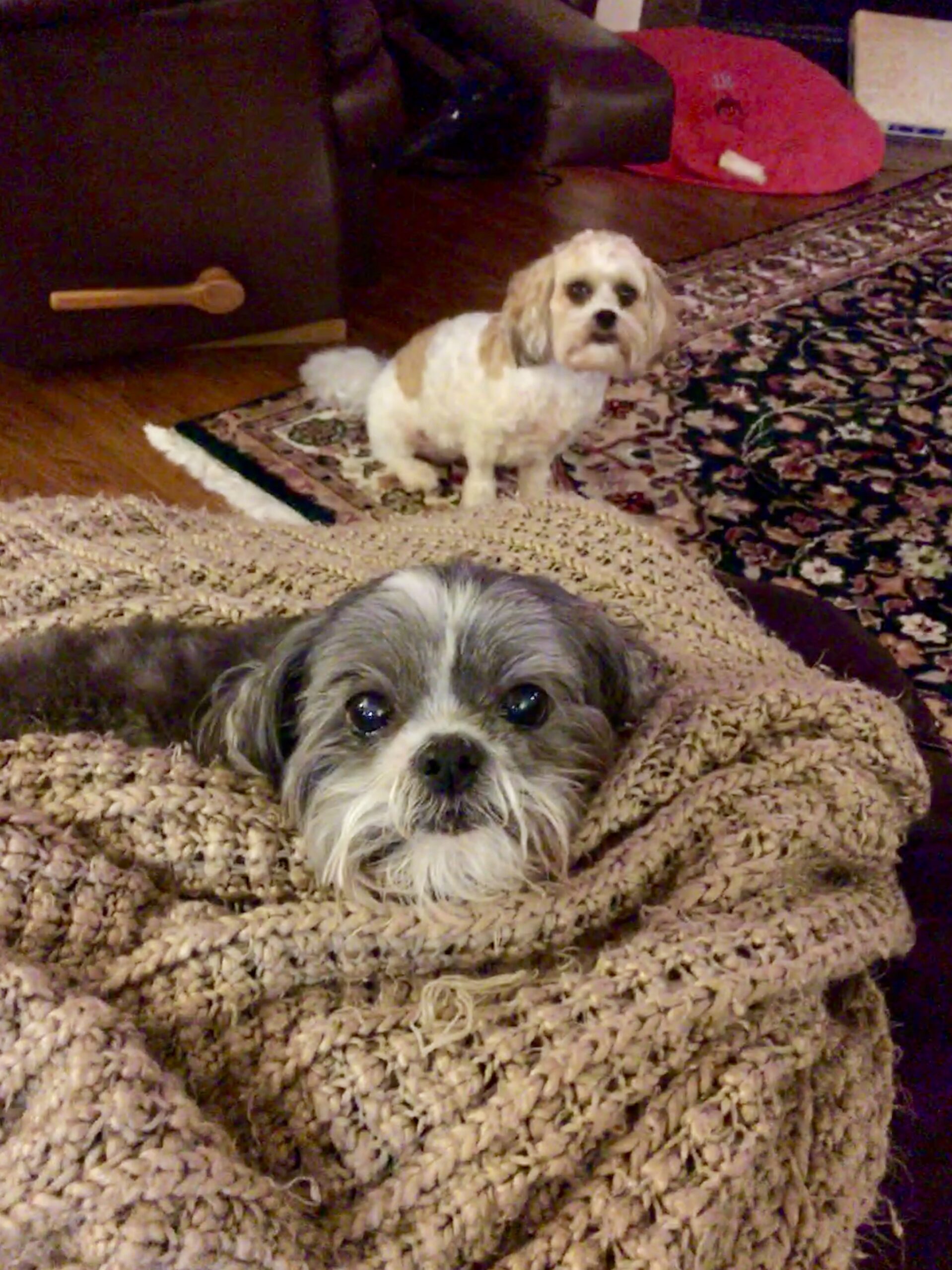 3031893F-3A67-4894-B7CE-444A5C6877F2