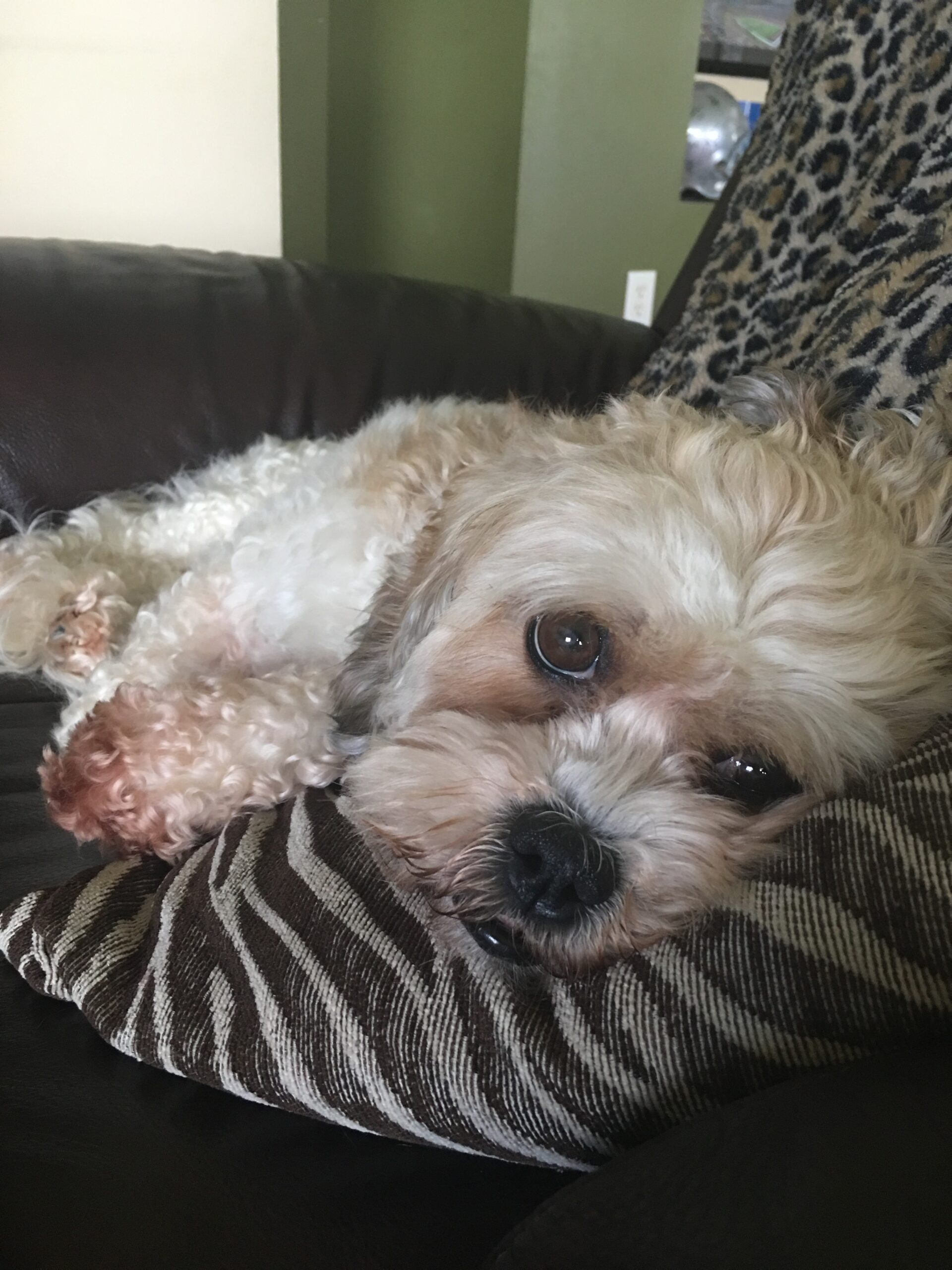 778F5487-A0BD-46AF-AB13-8185FA177047